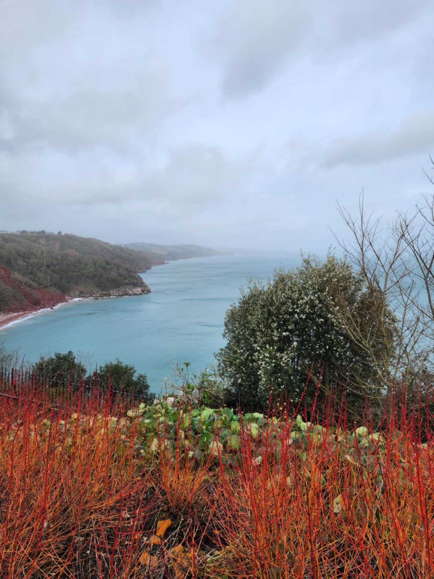 Rose Court Holiday Apartments Torquay Esterno foto
