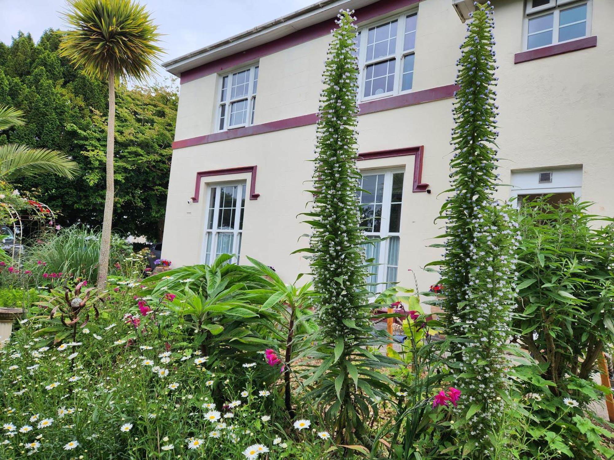 Rose Court Holiday Apartments Torquay Esterno foto