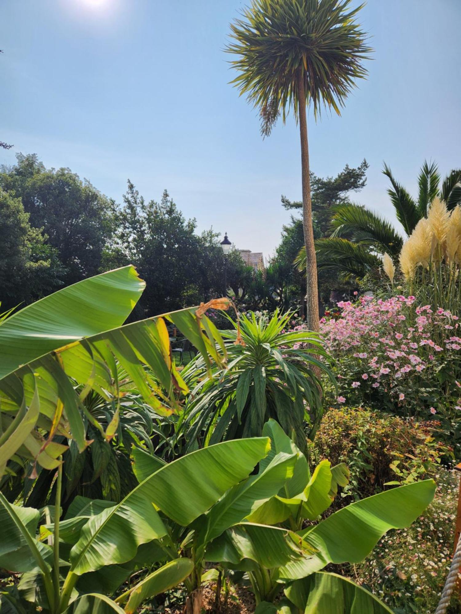 Rose Court Holiday Apartments Torquay Esterno foto