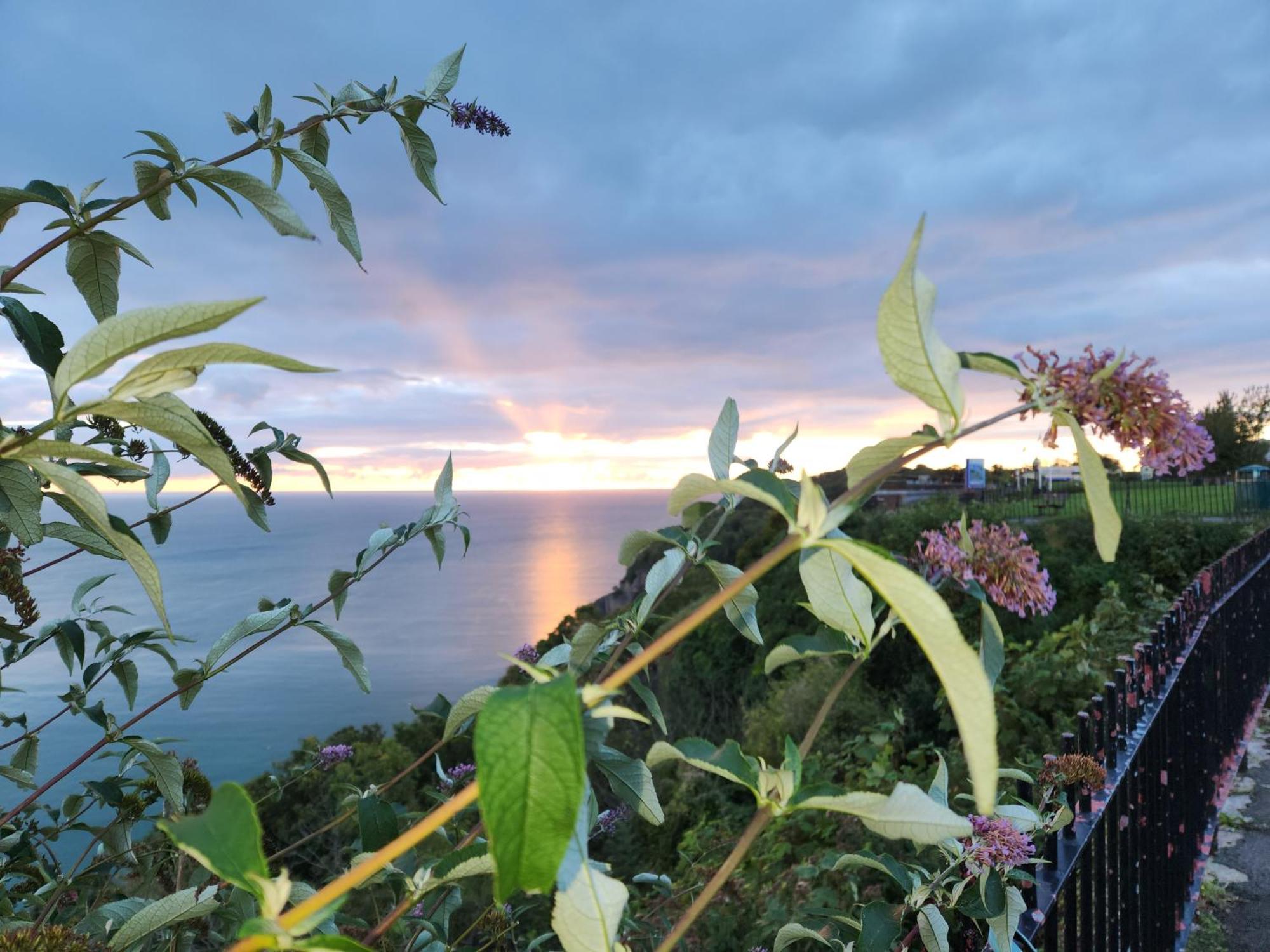 Rose Court Holiday Apartments Torquay Esterno foto