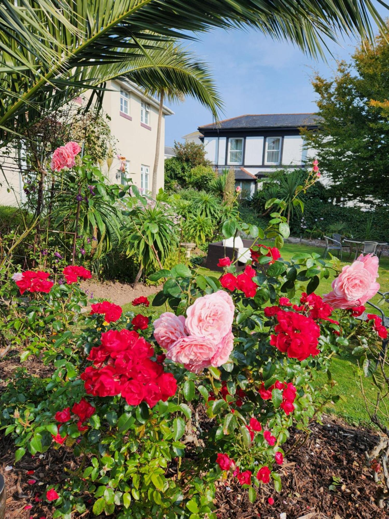 Rose Court Holiday Apartments Torquay Esterno foto